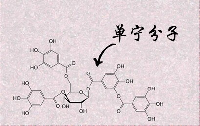 紅酒單寧是什么意思？不同紅酒中的單寧含量是多少？