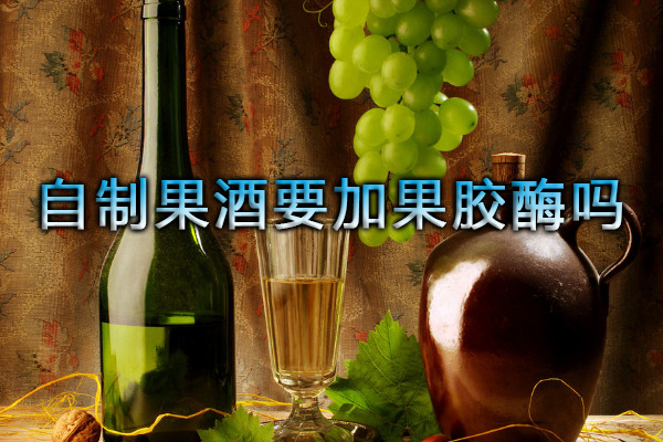 自制果酒要加果膠酶嗎