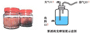 制作果酒為什么要空三分之一