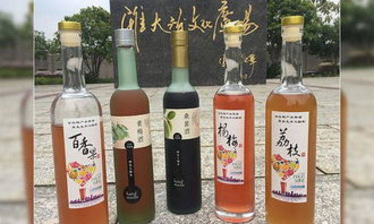 黑加倫做酒要加白酒嗎(黑加侖可以泡白酒嗎)