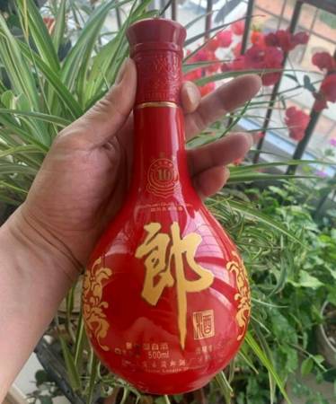 過年送長輩什么酒(過年送什么酒給長輩)