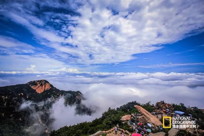 泰山云海白酒價位(泰山云海酒價格表)