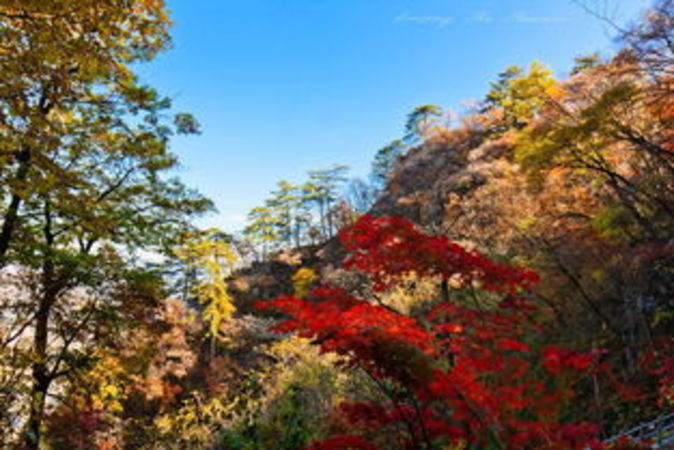 本溪鐵剎山酒廠白酒的介紹(本溪酒廠有哪些)