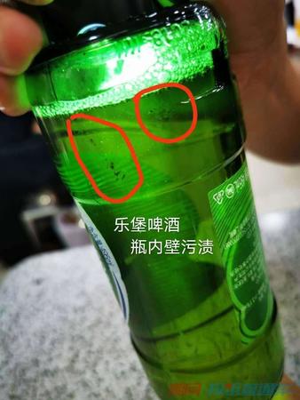 樂堡啤酒瓶裝有多少度(樂堡啤酒有幾度)