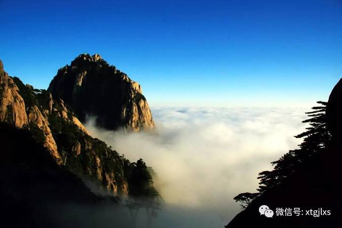 黃山珍品二星的價格(黃山五顆星)