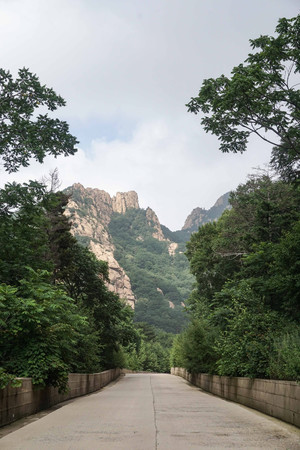 秦皇島祖山老酒怎么樣(秦皇島祖山老酒多少錢)