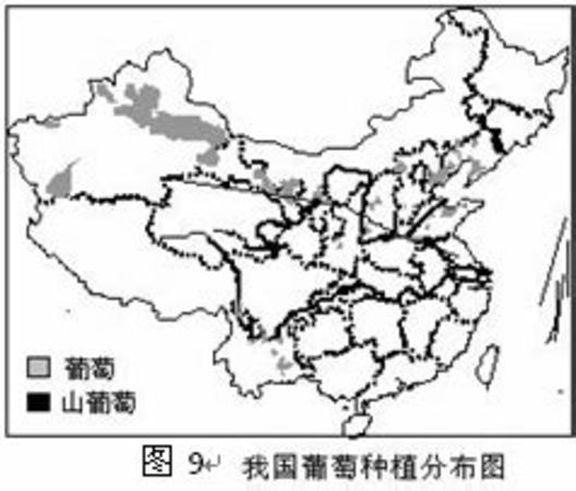 屬于國家一類保護(hù)動物的是,我國葡萄種植始于哪個朝代