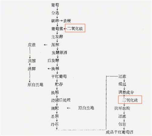 紅酒中為什么會含有亞硫酸鹽,葡萄酒中文標怎么有亞硫酸鹽