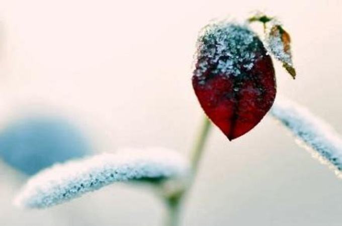 雨雪霧露霜雹的物態(tài)變化分別是什么,霜雹是什么顏色的