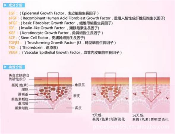 法餐為什么要配酒,吃法餐如何搭配葡萄酒