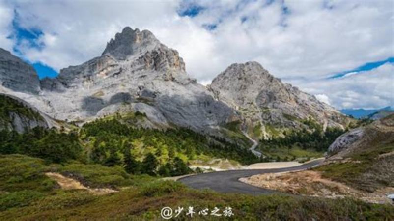 天地久香怎么樣,面包店叫什么名字好