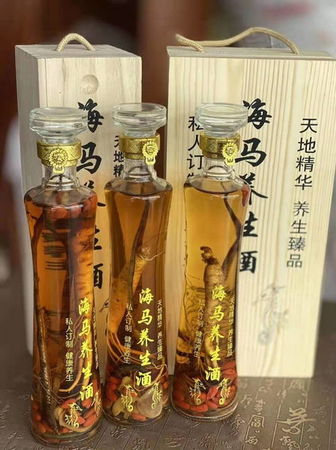 海馬動(dòng)力酒價(jià)格(海馬動(dòng)力酒)