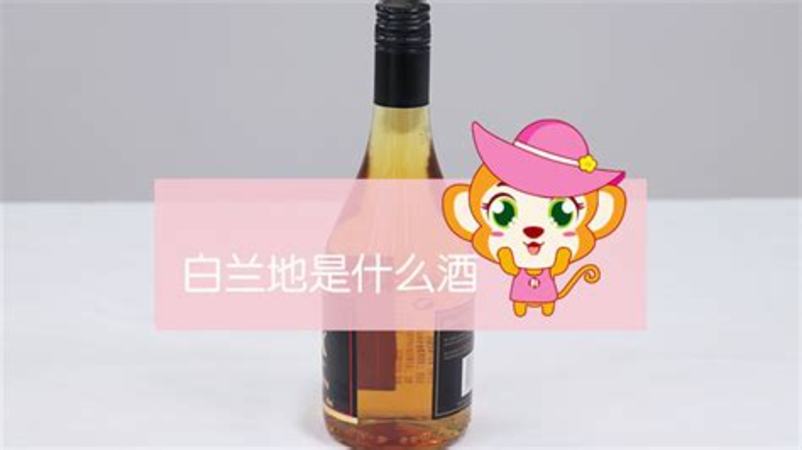 二十塊的白蘭地是什么酒,張?jiān)０滋m地是什么酒