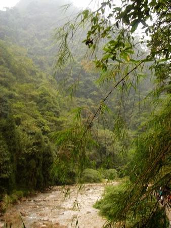 德國前總統(tǒng)武爾夫是如何喝上神溝九寨紅的,關鍵詞