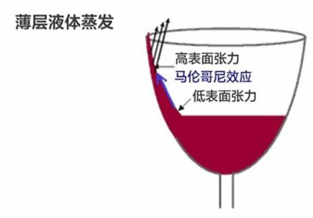 半甜紅酒什么牌子好,關鍵詞