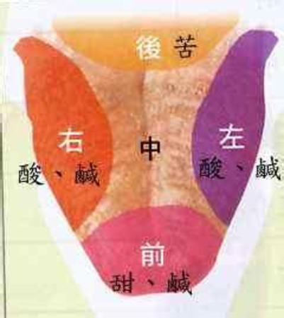 魚(yú)臺(tái)三賢酒業(yè)有限公司,關(guān)鍵詞