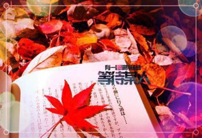 黃酒綜合測評報告,關鍵詞