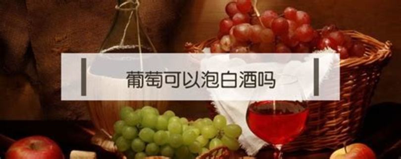 為什么葡萄酒有泡泡怎么辦,葡萄酒有氣泡產(chǎn)生