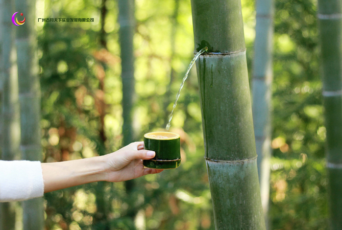 為什么竹子里有酒(竹子里邊為什么會(huì)有酒)