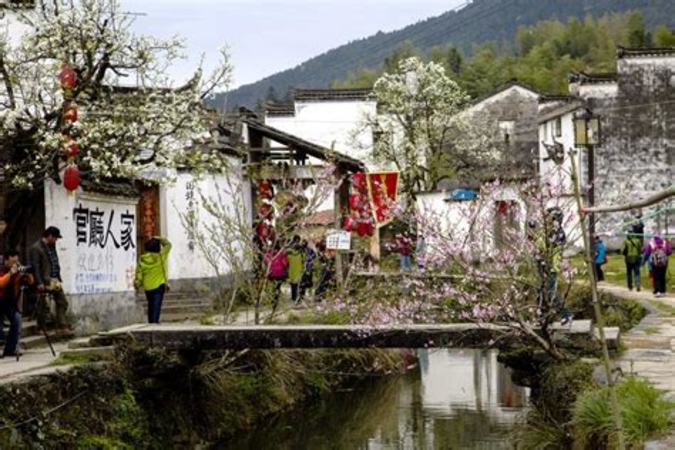 東北小村外多少錢,小村外酒業(yè)崛起的背后