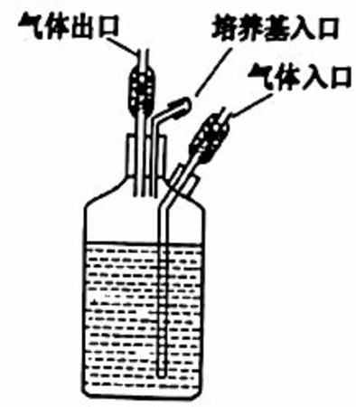 發(fā)酵酒飯酸是什么原因,彝族釀的是什么酒