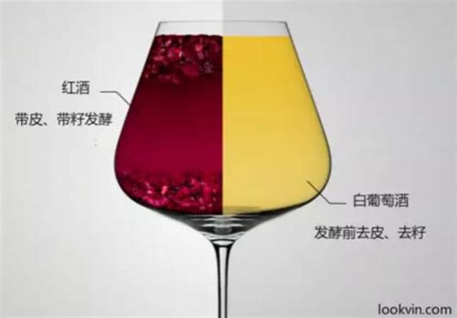 白色t恤染紅酒怎么洗,好想把這件白T弄臟