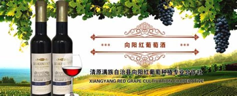 冰葡萄酒和葡萄酒口感有什么區(qū)別,冰酒與葡萄酒有什么區(qū)別