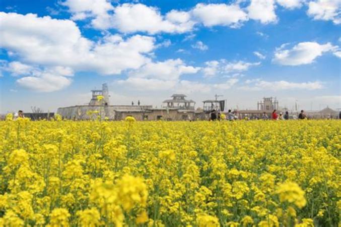 高粱什么價格,2019年東北高粱什么價格