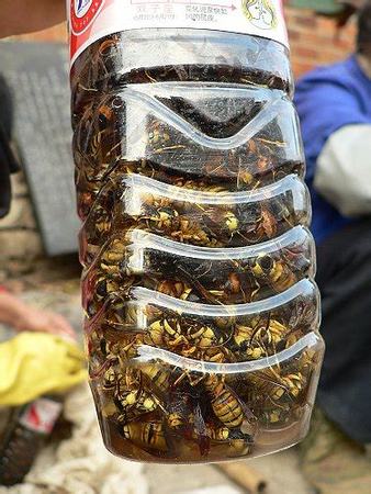 密蜂泡酒有什么功效,蜜蜂泡酒有什么用途