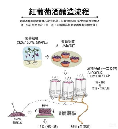 釀造葡萄酒過(guò)程詳解(葡萄酒的釀造過(guò)程)