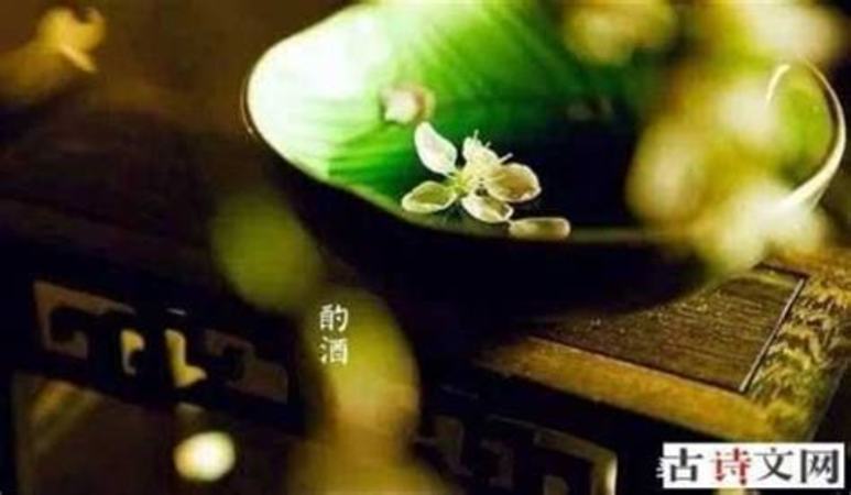 關(guān)于酒出名的詩句有哪些,關(guān)于酒的詩句和俗語都有哪些