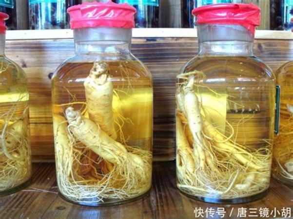 鹿茸泡酒用什么酒好,鹿茸配什么中藥泡酒效果好