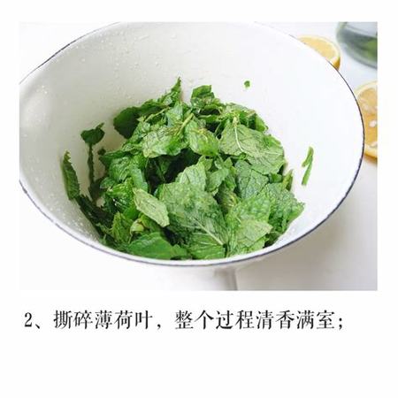 薄荷糖漿怎么做莫吉托,檸檬紅茶酸度怎么調